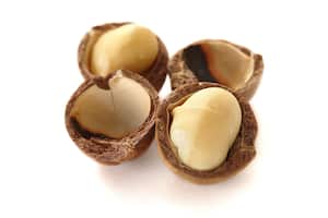 fruto seco de forma esférica, color blanco crema. Foto: Getty Images.