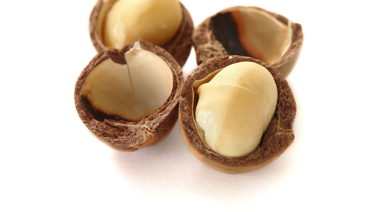 Nuez de Macadamia