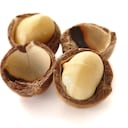 fruto seco de forma esférica, color blanco crema. Foto: Getty Images.