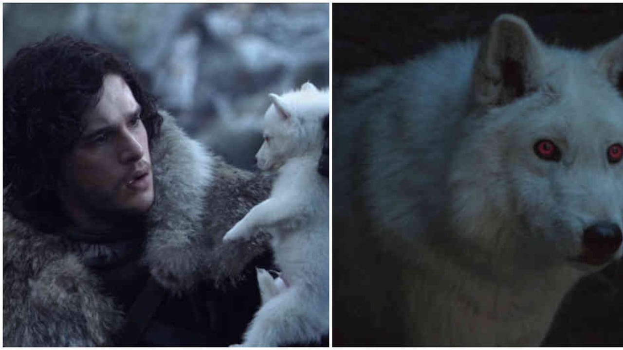 Jon Snow encontró a Ghost en el primer capítulo de la primera temporada y fue su compañero inseparable, hasta ahora.