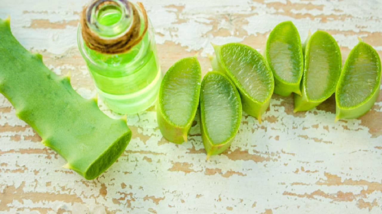 El látex de sábila sin procesar contiene sustancias químicas que, aparentemente, pueden causar cáncer.