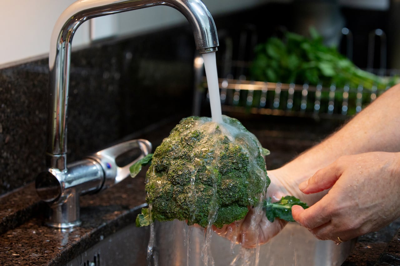 Brócoli