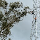 Son varios los proyectos de transmisión energética que viene adelantando Grupo Energía de Bogotá. Uno de estos, se ejecuta en el departamento de La Guajira.