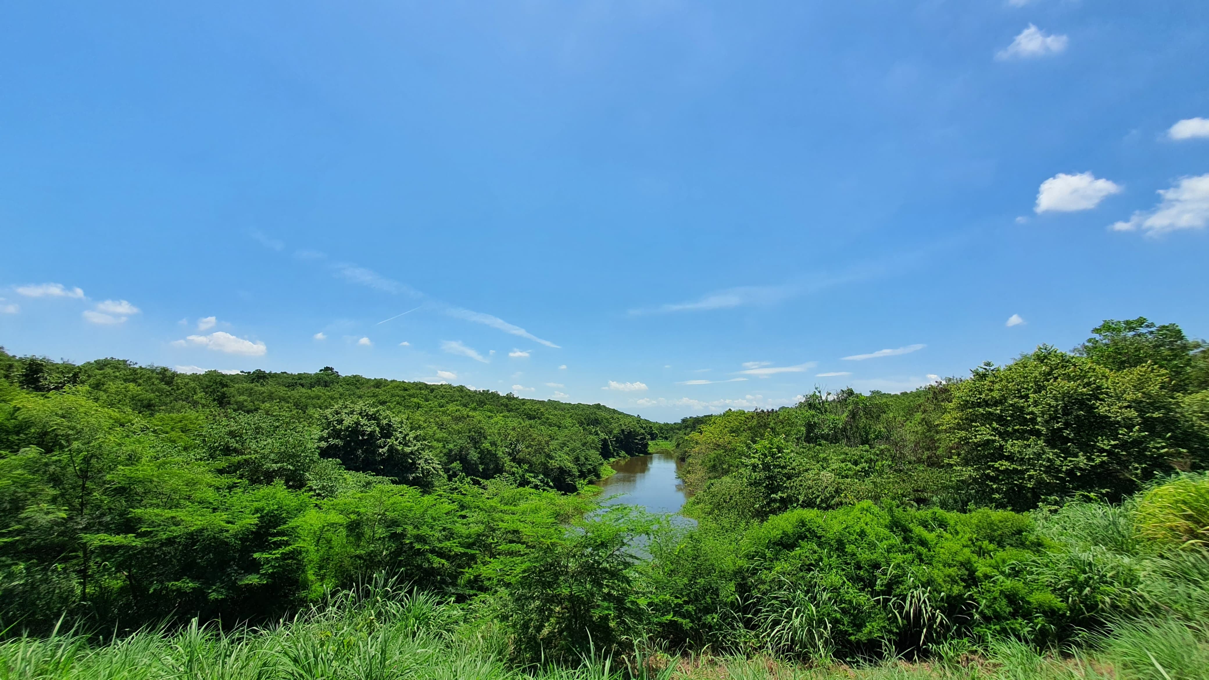 Un informe sostiene que los procesos de pérdida de bosque identificados en algunos municipios carboníferos se concentran principalmente en zonas de la Serranía del Perijá y están asociados a factores como la expansión de la frontera agrícola y procesos de colonización, más que a las operaciones mineras desarrolladas en el valle.