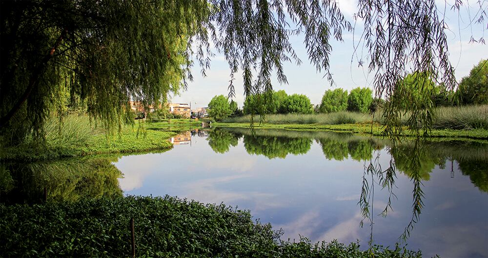 Los humedales están llenos de especies y recursos hídricos vitales para las poblaciones; 15 de ellos están ubicados en la capital. 