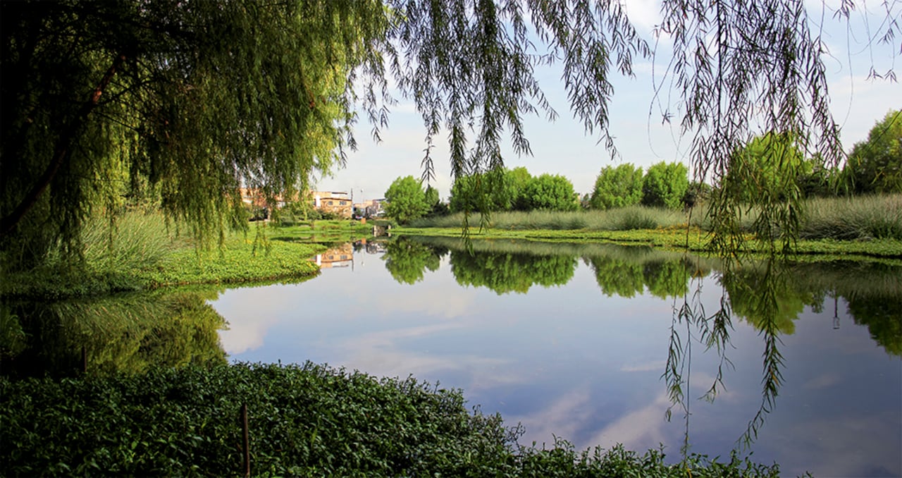 Los humedales están llenos de especies y recursos hídricos vitales para las poblaciones; 15 de ellos están ubicados en la capital.