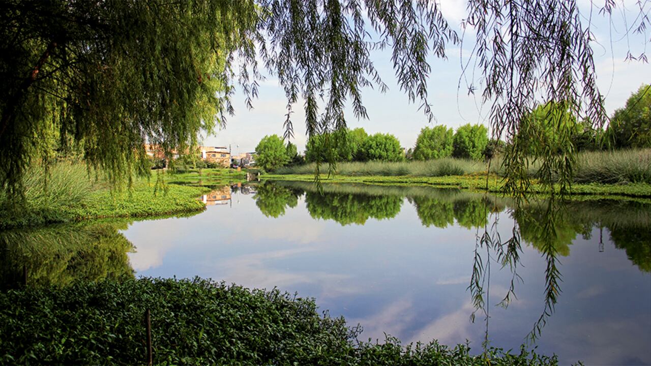 Los humedales están llenos de especies y recursos hídricos vitales para las poblaciones; 15 de ellos están ubicados en la capital.