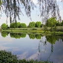 Los humedales están llenos de especies y recursos hídricos vitales para las poblaciones; 15 de ellos están ubicados en la capital.