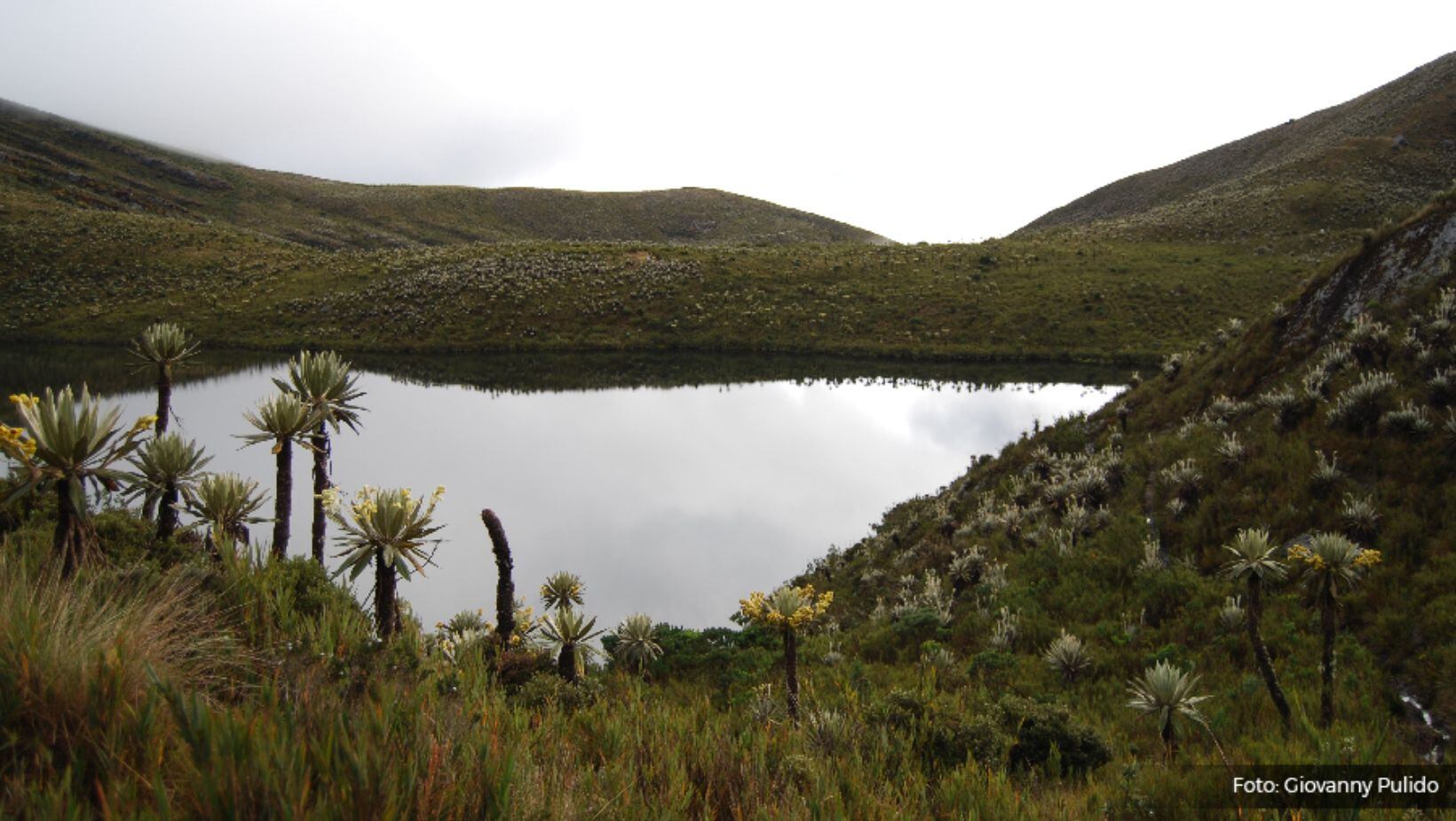 Chingaza: ¿cómo llegar desde Bogotá y qué hacer en este parque natural?