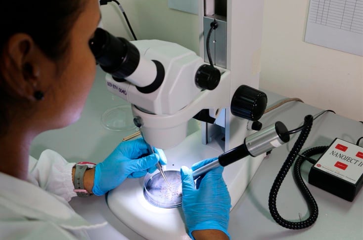 La Universidad de Antioquia inició la producción industrial de cloroquina, medicamento esencial para el tratamiento de la malaria, y avanza en el desarrollo de un fármaco para el VIH.
