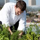 “La agricultura urbana va a pasar de ser un hábito ocasional a convertirse en un sistema”