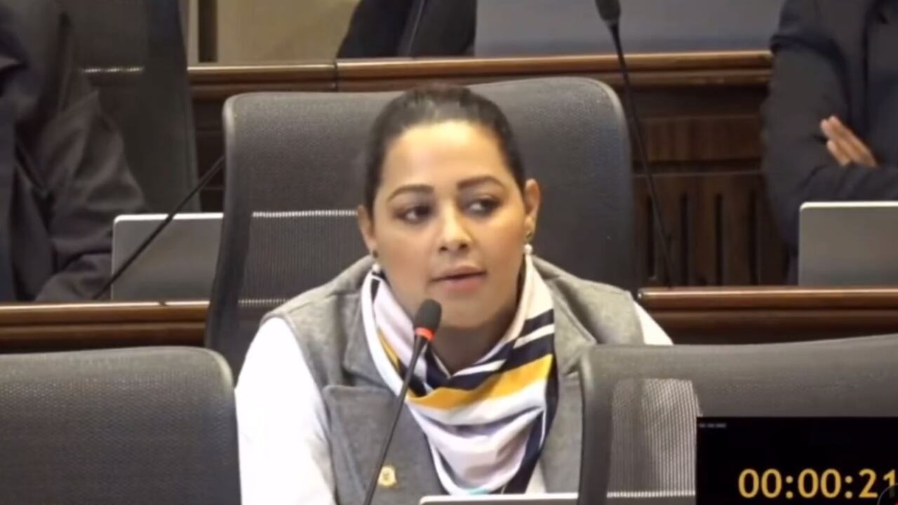 representante a la Cámara, Ana Paola García, es defensora de reducir la edad mínima para legislar