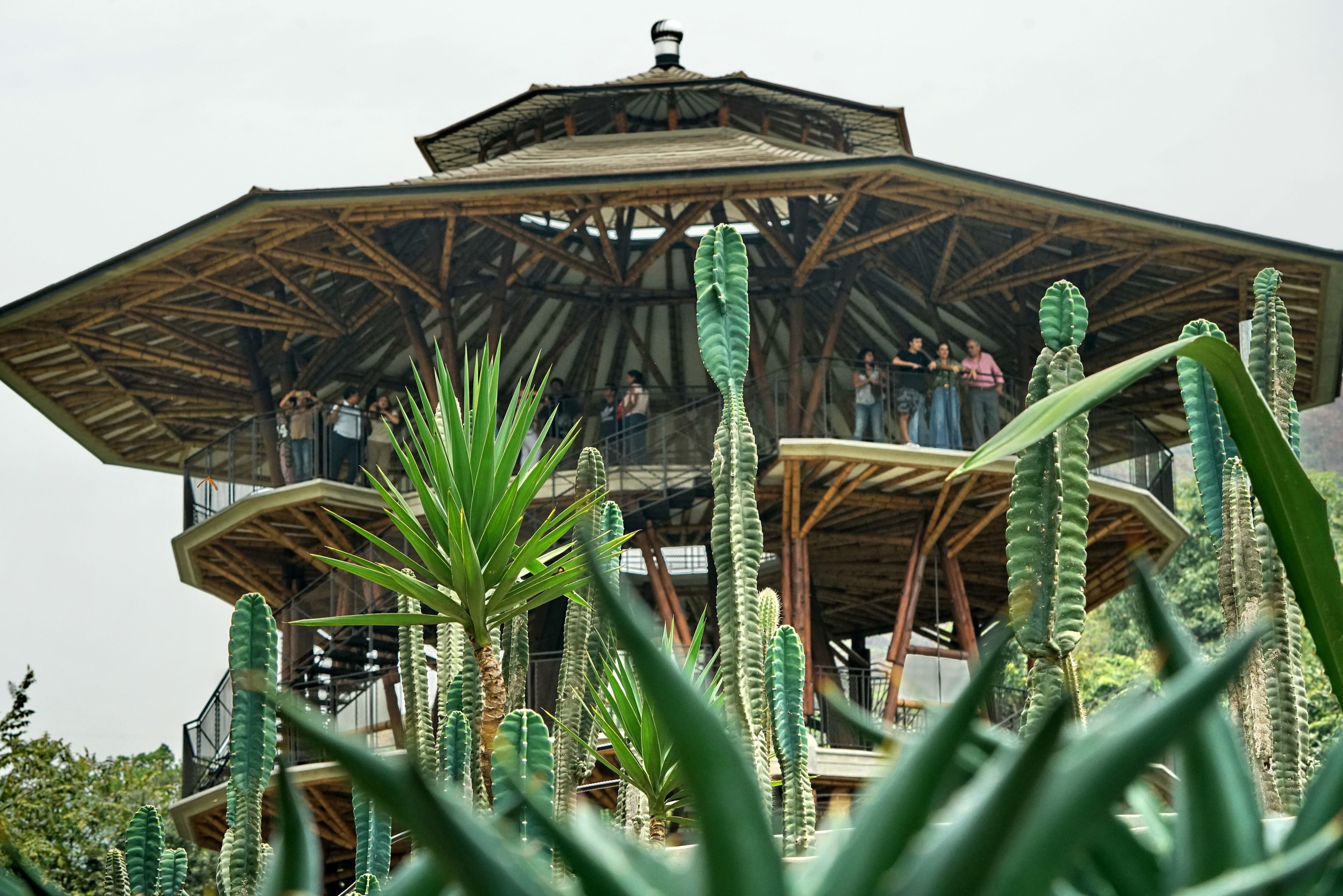 Jardín Botánico de Cali abre sus puertas al público. La Fundación Zoológica de Cali, le apuesta a que el JBC sea un ícono de ciudad, un lugar imperdible para visitar, más que un lugar para conocer de plantas es un lugar para aprender del mundo vegetal y promover valores relacionados con el buen vivir.