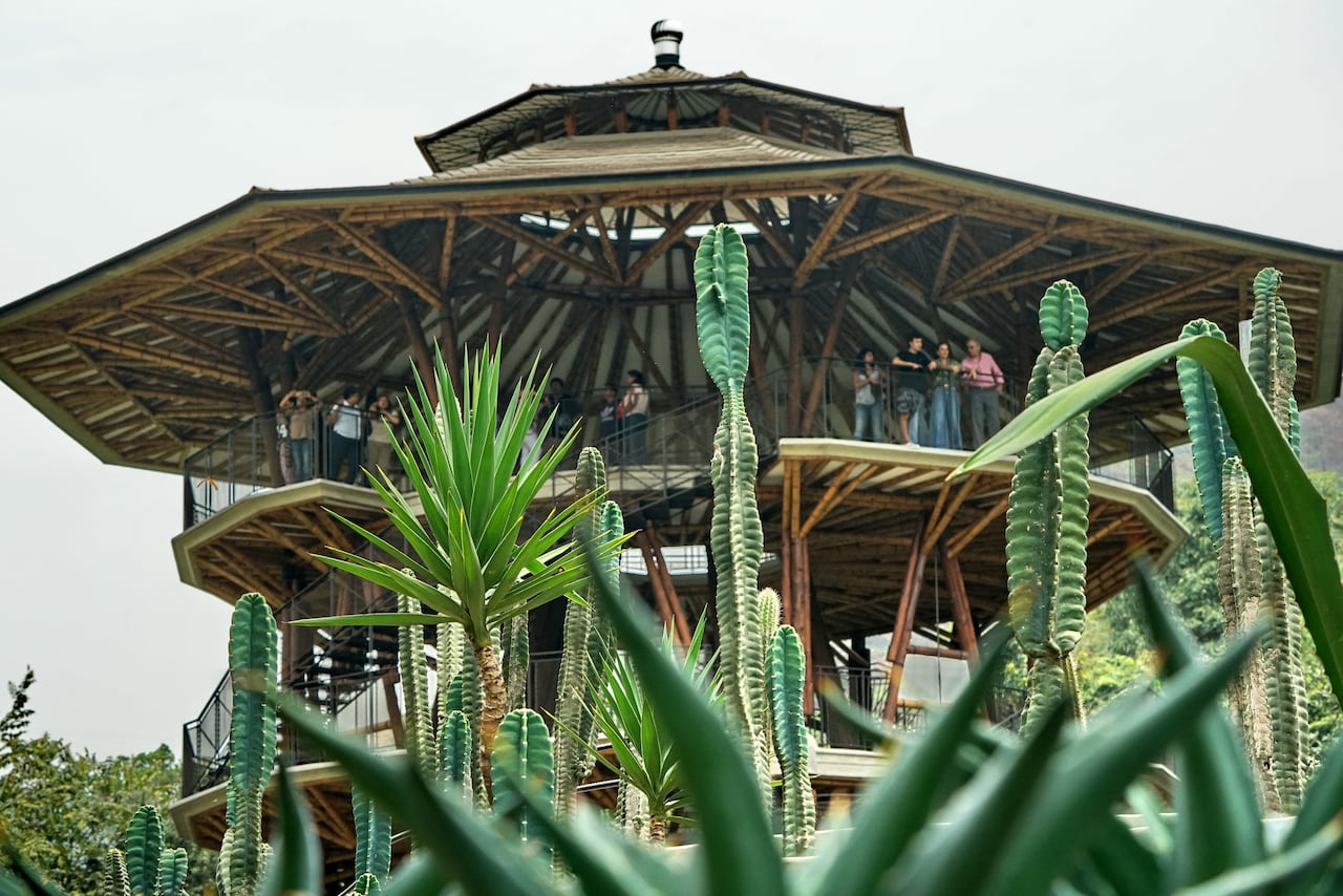 Jardín Botánico de Cali abre sus puertas al público. La Fundación Zoológica de Cali, le apuesta a que el JBC sea un ícono de ciudad, un lugar imperdible para visitar, más que un lugar para conocer de plantas es un lugar para aprender del mundo vegetal y promover valores relacionados con el buen vivir.