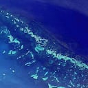 Vista satelital de la Gran Barrera de Coral en las costas de Australia. Foto: NASA