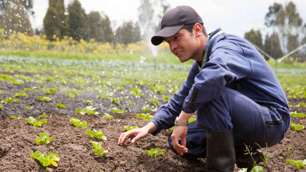 El SENA, por medio de su área misional de Formación Profesional, cuenta actualmente con 142 programas titulados con enfoque sostenible.