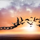 Confesarle los pecados a Dios permitirá que se sienta aliviado.