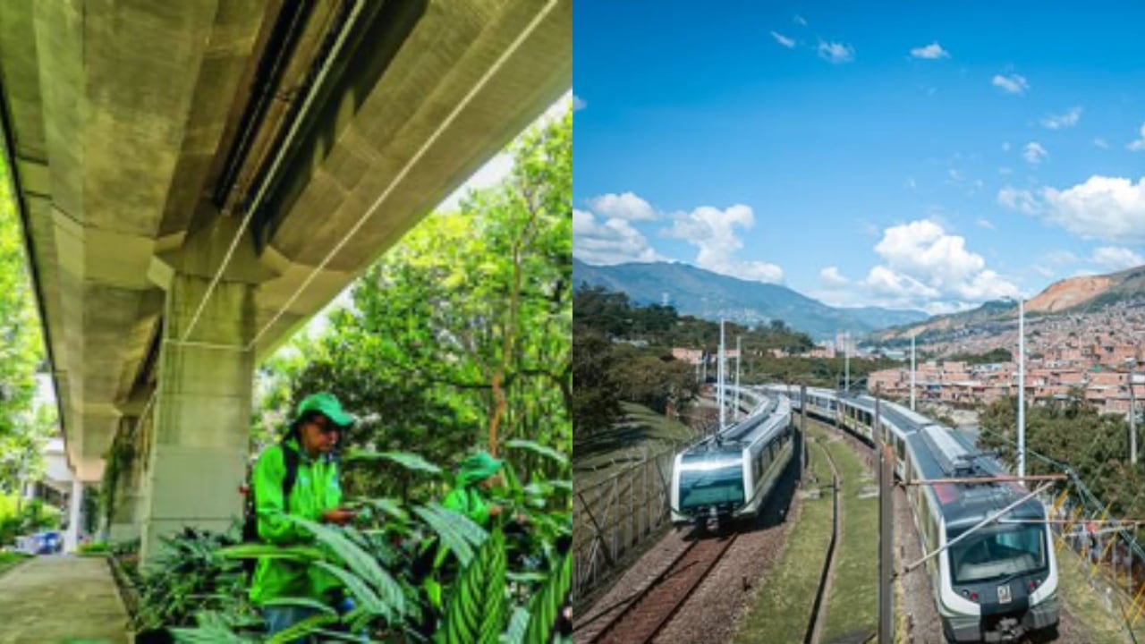 Microaspersores instalados bajo la Línea B del Metro de Medellín simulan lluvia para mantener jardines urbanos en el sector Estadio.