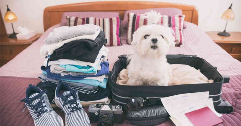 La calidad de vida y los ingresos son determinantes al momento de irse de la casa de los padres.