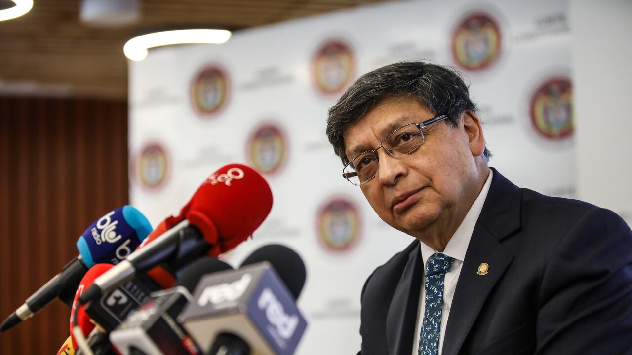 Jorge Enrique Ibáñez Najar, Magistrado de la Corte Constitucional de Colombia