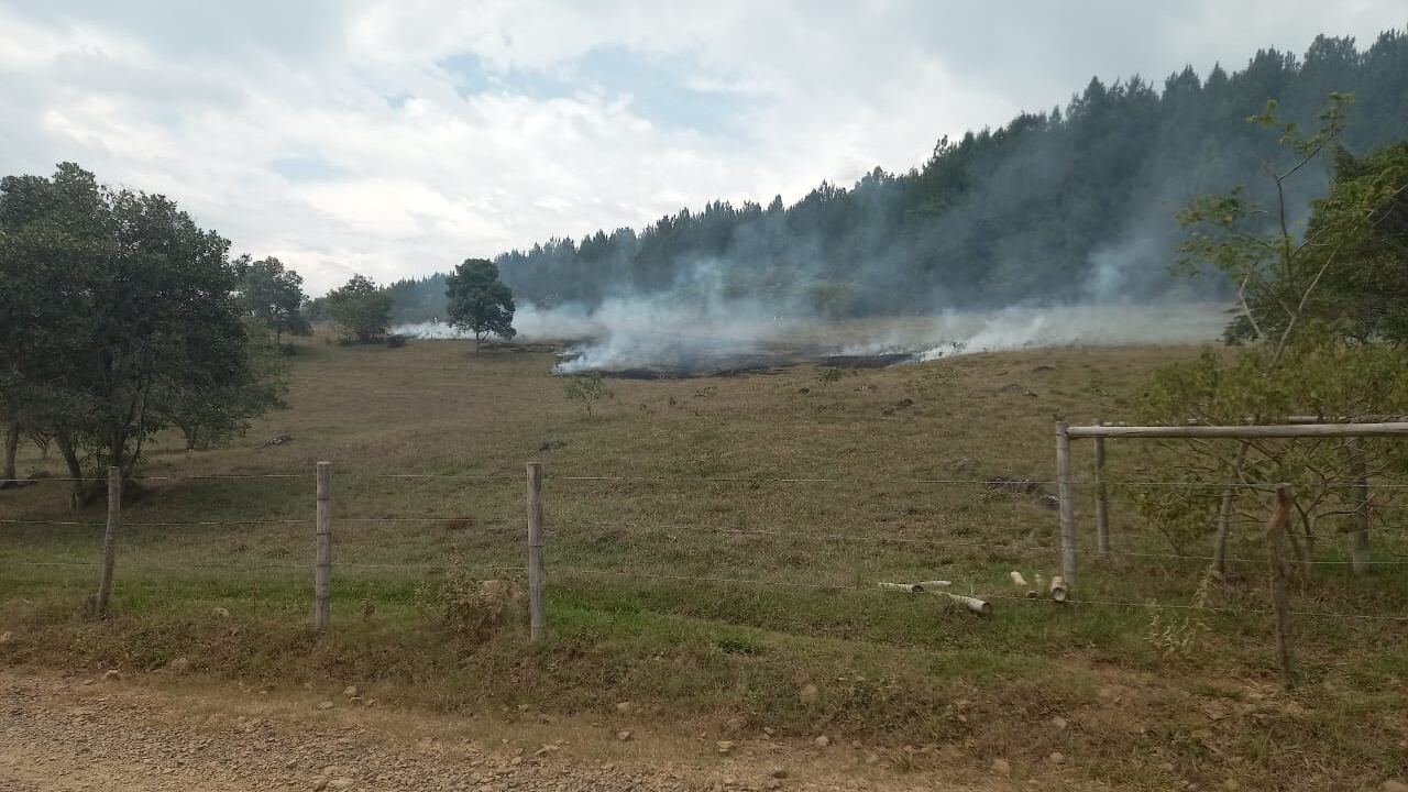 Terrible situación en Cauca: invasores prendieron fuego a mil hectáreas de una reserva natural protegida.