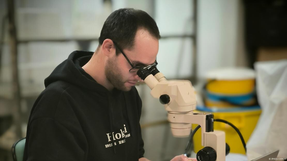 La presencia de un ave extinta en Tarragona permite reconstruir la vida de depredadores y presas prehistóricas.