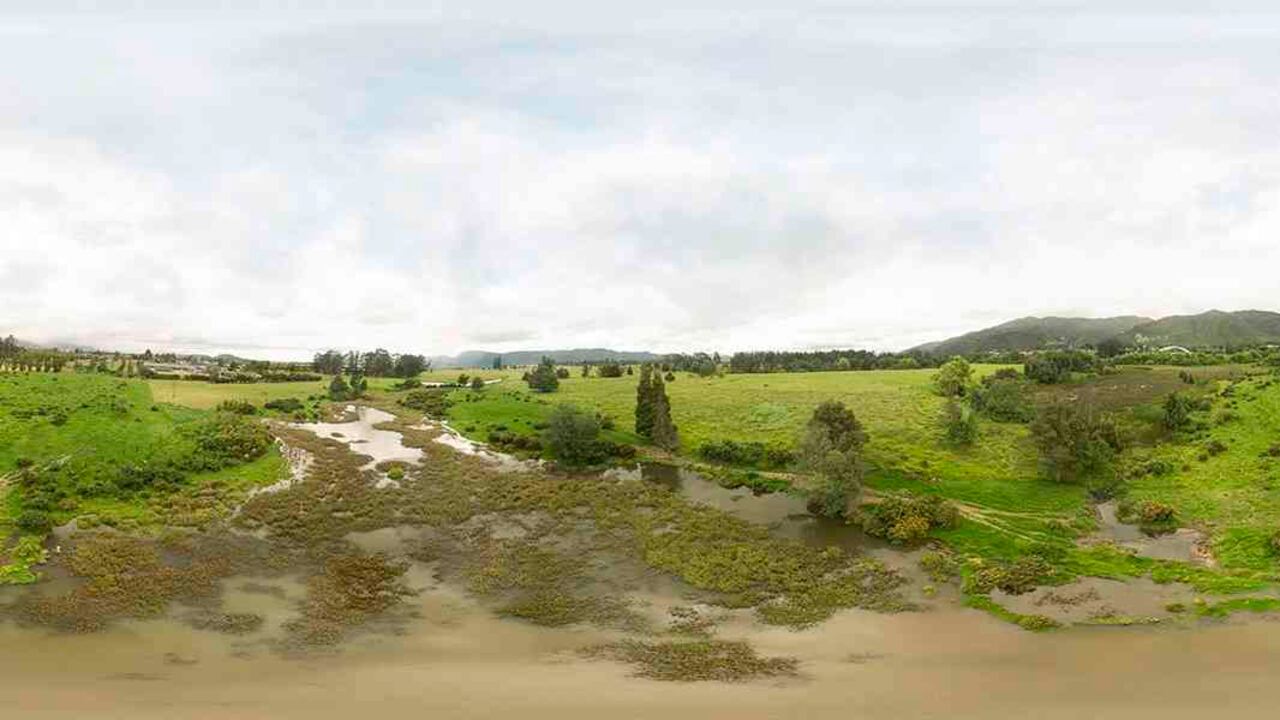 Humedal Torca y Guaymaral. Foto: Secretaría de Ambiente de Bogotá