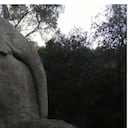 Bosqueencantado de Orrius