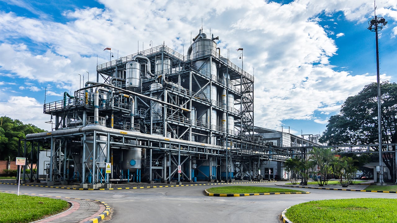 Manuelita proyecta alcanzar estas metas a partir de la reducción de sus emisiones de gases de efecto invernadero (alcances 1 y 2) en su cultivo y procesamiento industrial de caña de azúcar en el Valle del Cauca y en la Libertad (Perú); y palma de aceite en el Meta y Casanare.