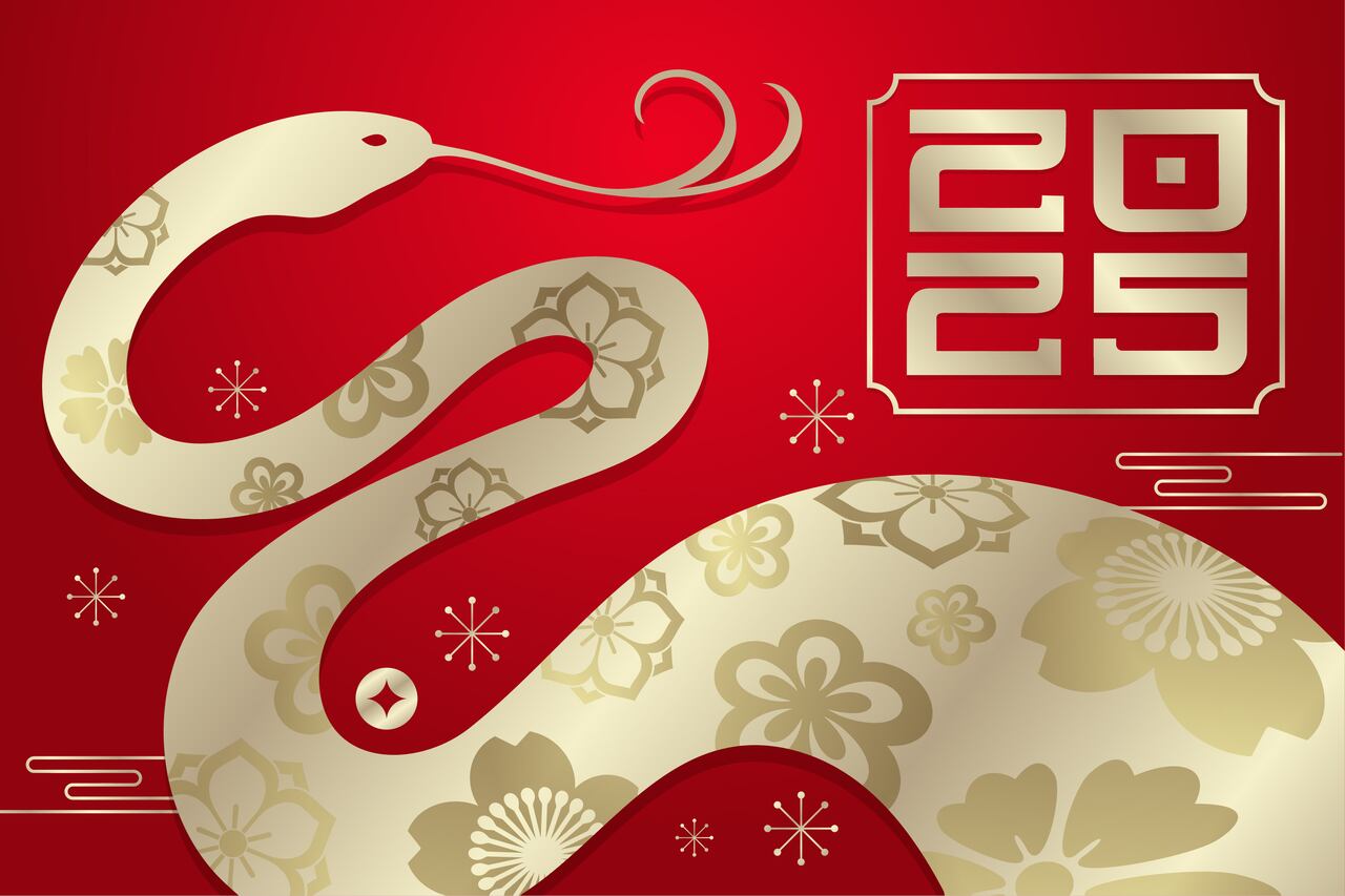 En 2025, los signos del zodiaco chino encontrarán oportunidades únicas bajo la influencia de la Serpiente de Madera.