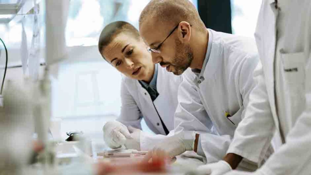 La química sintética, que permite fabricar nuevos materiales, es una de las disciplinas fundamentales en muchos de los desarrollos disponibles en las sociedades modernas.