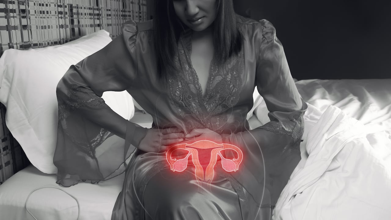 Ovarios, útero, trompas de falopio, ovario poliquístico, cáncer de ovarios, inflamación de ovarios, aparato reproductivo