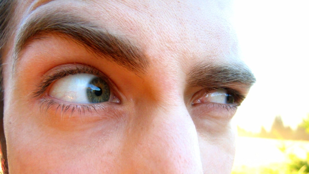 Los seres humanos han utilizado gestos y movimientos para transmitir emociones e intenciones.