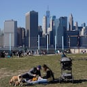 (AP Photo/Seth Wenig)