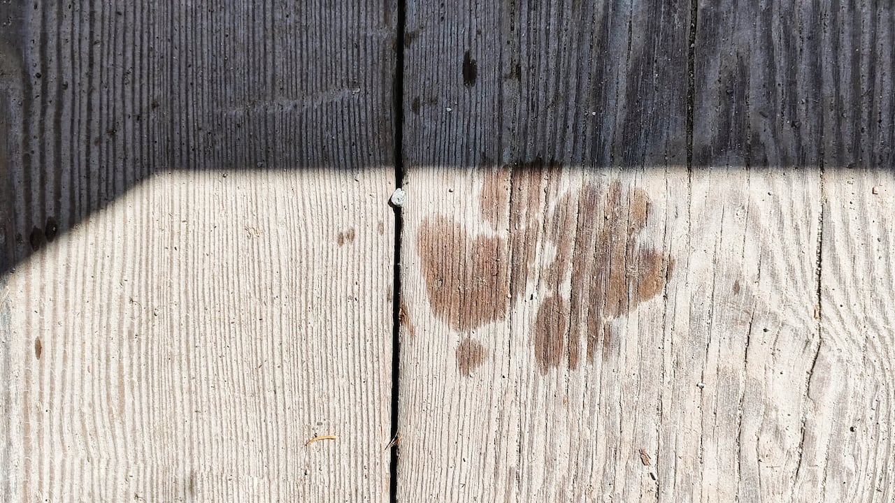 El vinagre blanco es otro remedio natural muy eficaz para eliminar manchas de humedad y moho en la madera.