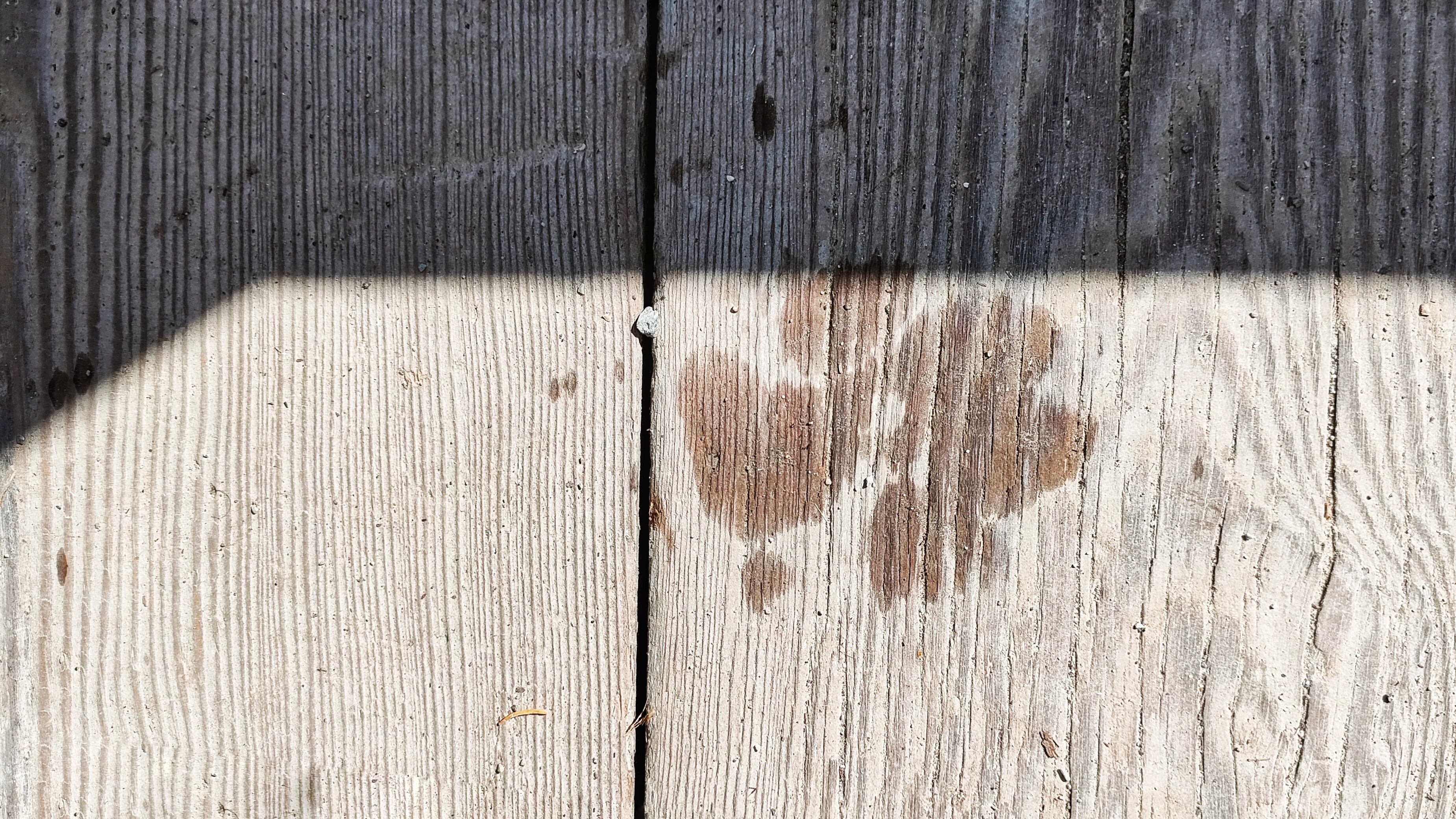 El vinagre blanco es otro remedio natural muy eficaz para eliminar manchas de humedad y moho en la madera.