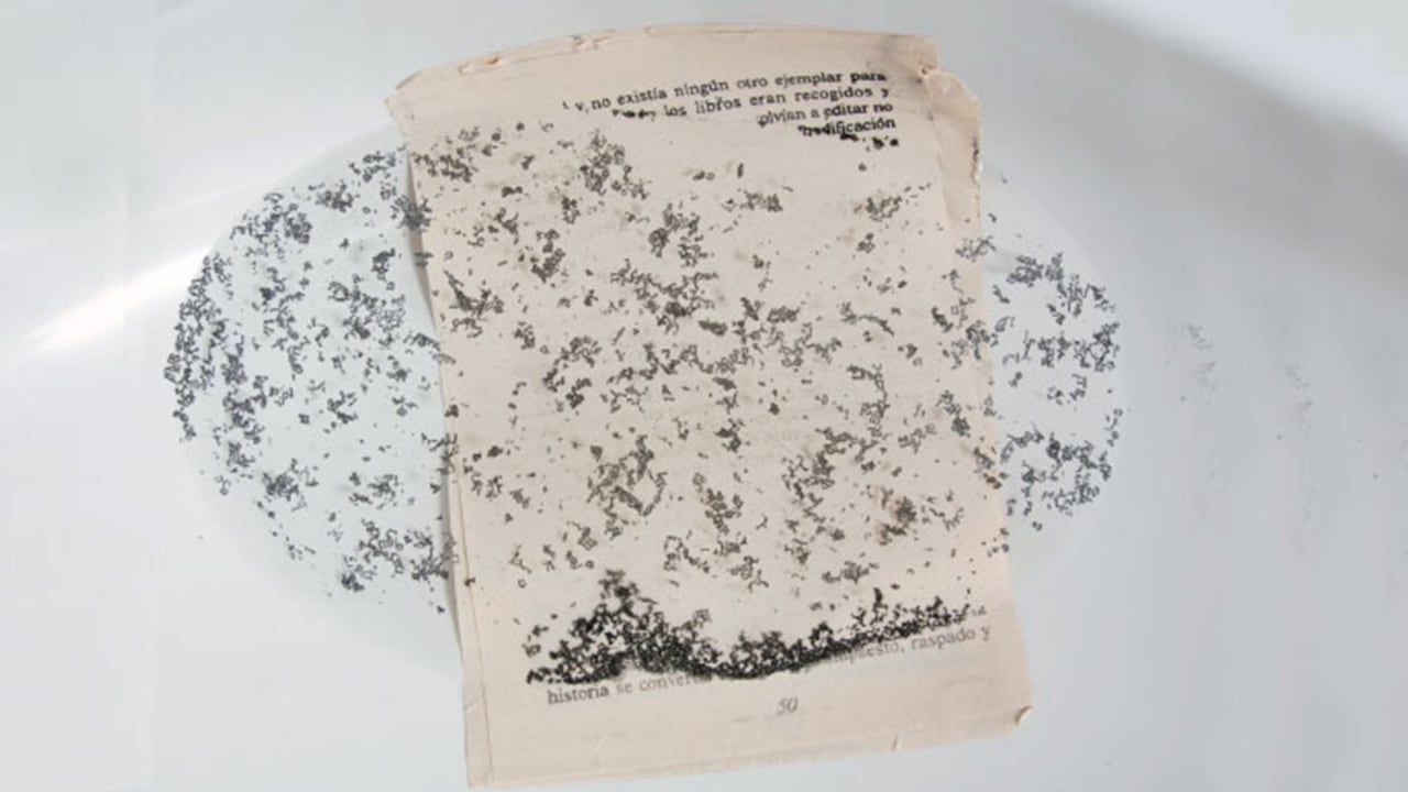 ‘Lagunas’ de Óscar Muñoz