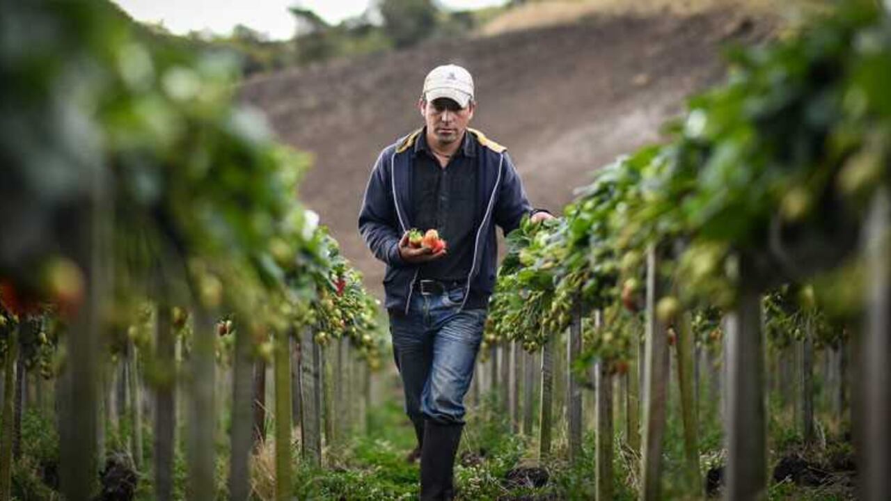 La Ley 1788 del 2016 pone en igualdad de derechos a quienes sean contratados para realizar quehaceres domésticos.