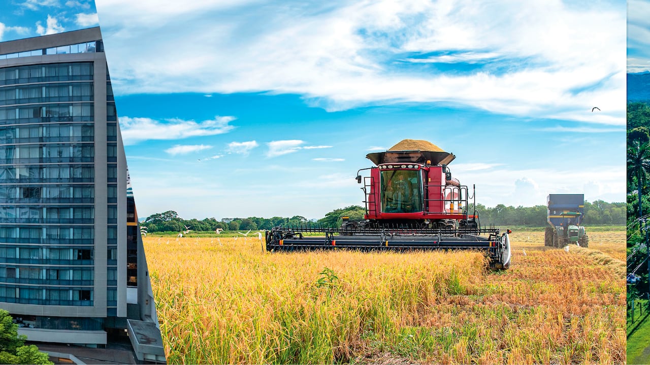 En 2024 la compañía invirtiócerca de 1,8 billones de pesos en proyectos de infraestructura, energía y agroindustria.