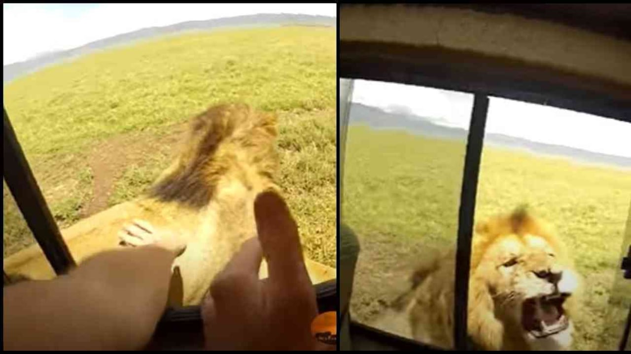 El ser humano sigue desafiando la fuerza de la naturaleza. Foto: tomada de video.