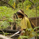 Los indígenas tienen sus propios sistemas de alimentación amigables con el ambiente.