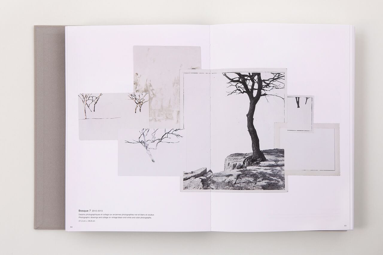 Johanna Calle Photo Graphias