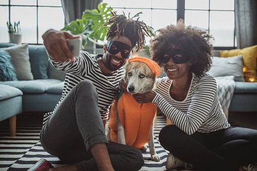 Mascotas disfrazadas