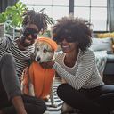 Según Andrea Millán, experta del área de cultura del Instituto Distrital de Protección Animal, IDPYBA, no es recomendable ponerles pelucas, accesorios o disfraces porque para los animales de compañía esta práctica puede resultar incómoda y molesta