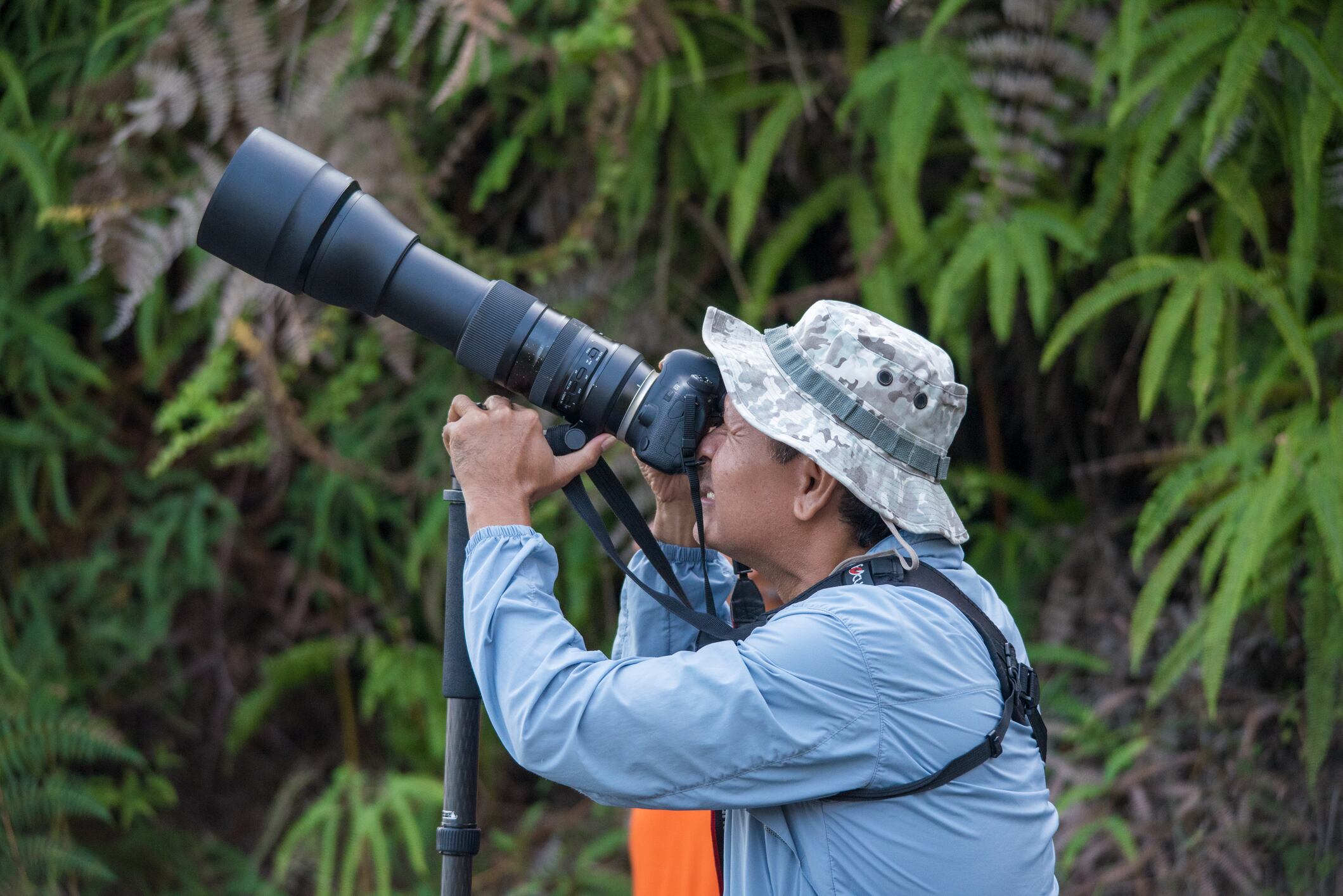 Avistamiento de aves