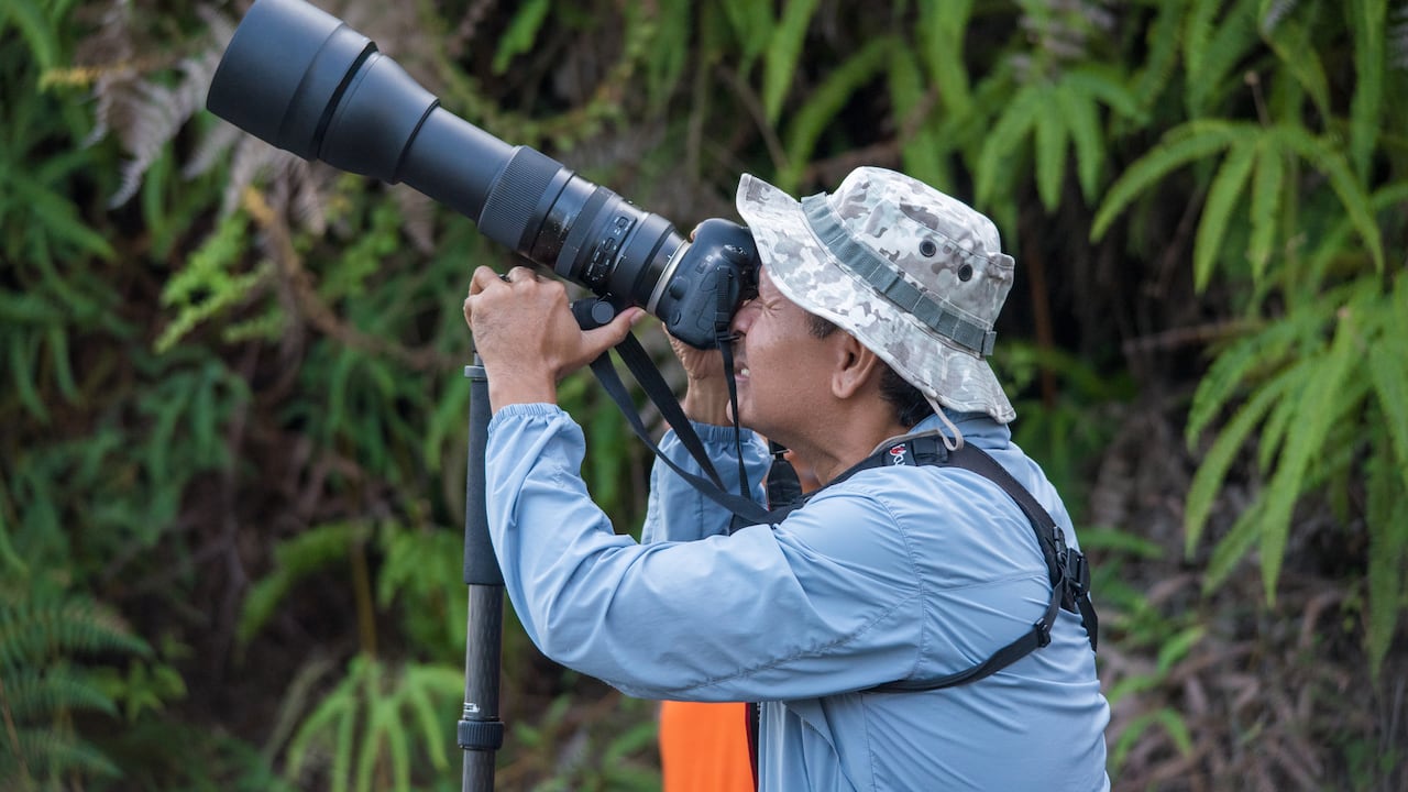 Avistamiento de aves