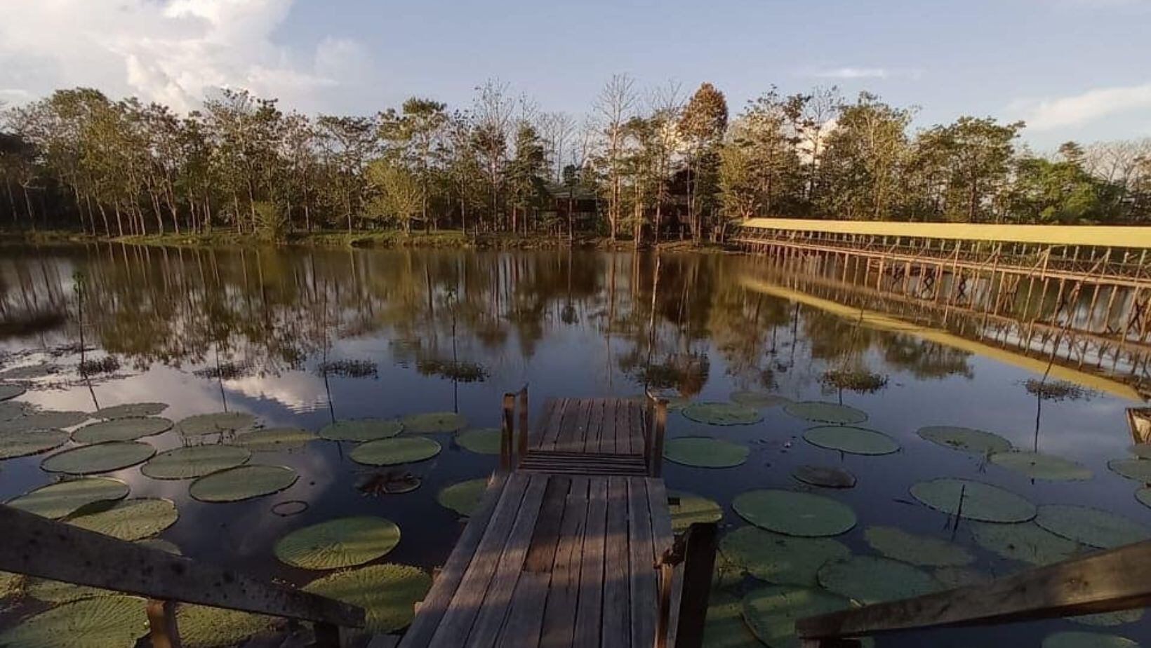 Reserva Natural Victoria Regia, el lugar especial para admirar el loto más grande del Amazonas
