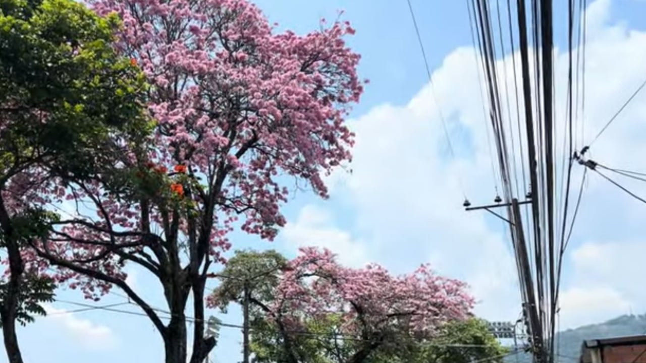 Ibagué