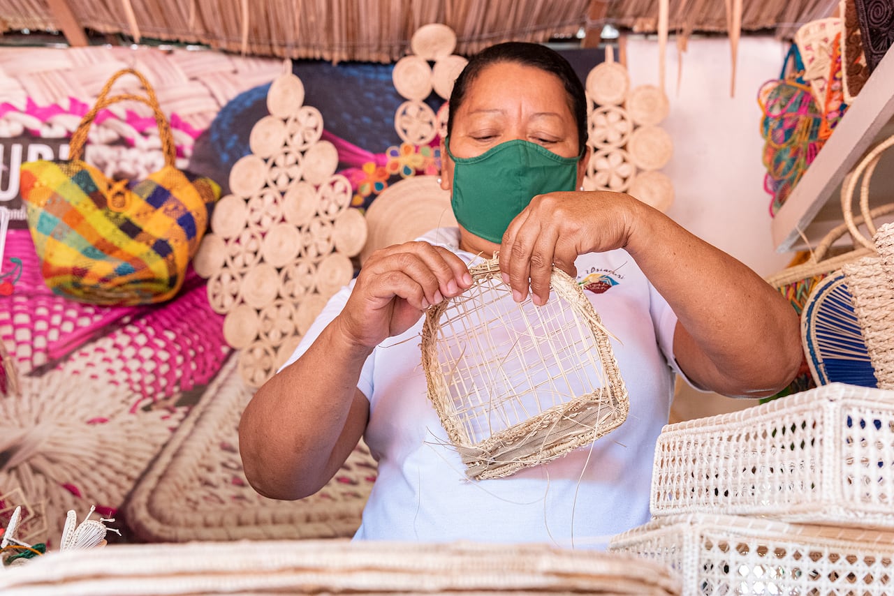 Las familias artesanas que trabajan con palma de iraca pasaron de ganar un promedio de 400.000 pesos por fin de semana a tener ventas que alcanzan los 2 millones de pesos.