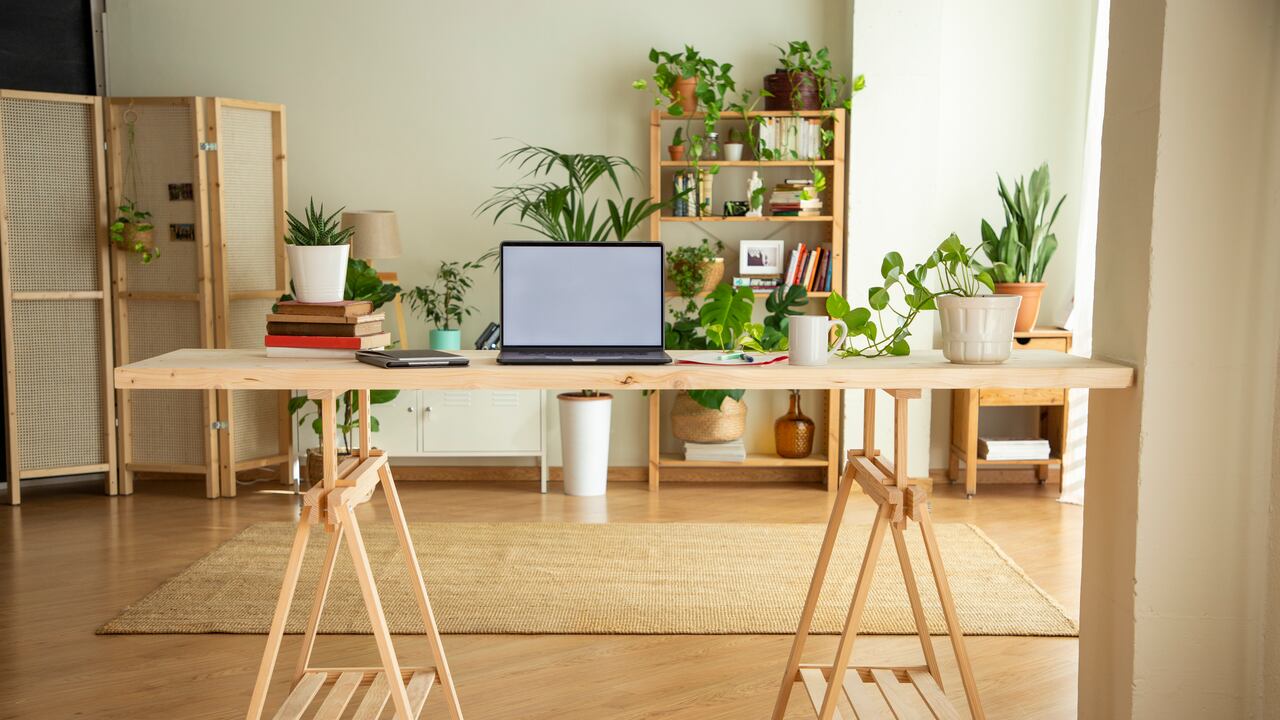 Existen muchas técnicas para liberar las malas energías del hogar.